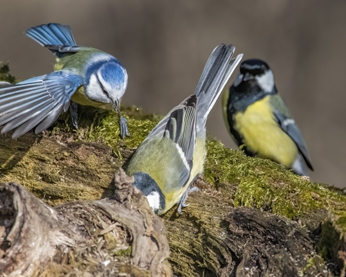 Jak vybírám, třídím <strong>a ukládám fotografie</strong>